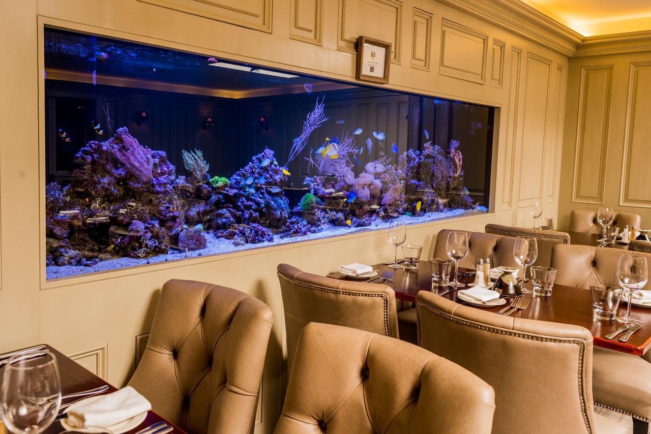 Vaughans Anchor Inn Liscannor Zewnętrze zdjęcie